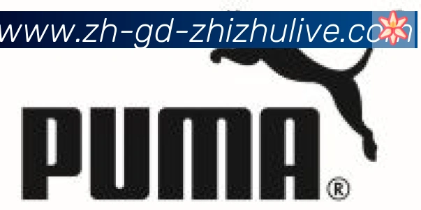 蜘蛛直播合作伙伴